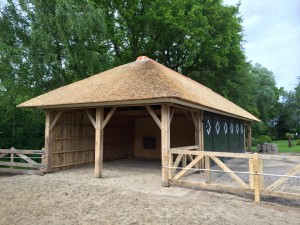 10917068_1404628803168741_7931207520237392221_n